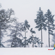 Illustration for article titled The Best Snowy Video Games And Levels